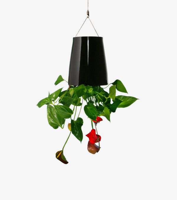 Medium Ceramic Sky Planter
